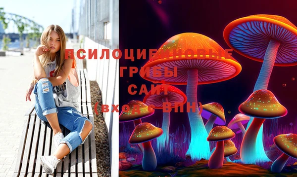 mdpv Заводоуковск