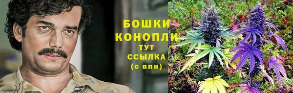 mdpv Заводоуковск
