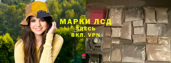 mdpv Заводоуковск