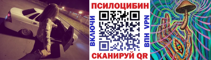 Галлюциногенные грибы Psilocybine cubensis Зерноград