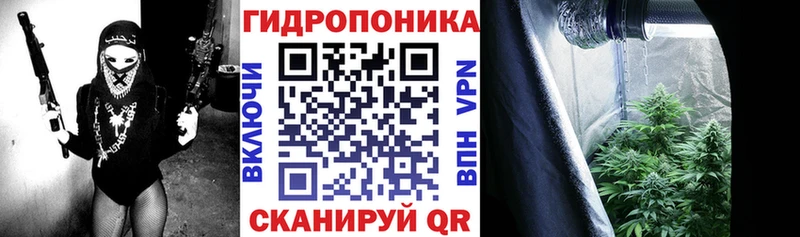 Купить  Зерноград  МАРИХУАНА сатива 